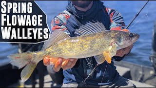 Spring Walleye Fishing On FLOWAGES [upl. by Treblig]