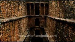 Gandhak ki baoli in Mehrauli [upl. by Cristabel684]