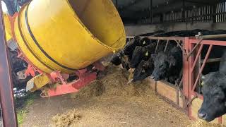 Shredding silage with the teagle tomahawk 4040 [upl. by Maximo894]