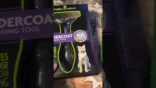 The Furminator Deshedding Fur Tool in Action Furminator cat catgrooming tabbycat [upl. by Corrine]