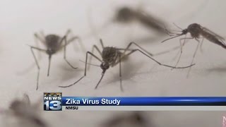 NMSU researchers begin studying Zika virus [upl. by Niatsirhc]