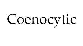 How to Pronounce Coenocytic [upl. by Richers867]