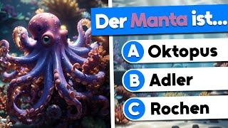 25 spannende Fragen die dein Allgemeinwissen testen 🧠  Allgemeinwissen Quiz [upl. by Bettina]