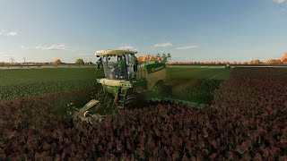 FS 22 Stone Valley 22  9  Clover Hay Windrow – Timelapse [upl. by Mace]