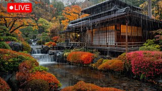 🔴 Japanese Zen Garden🍀Heavy Rain sounds ASMR Natural White noise River Stream And Waterfall [upl. by Crellen]