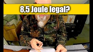 Luftgewehr 85 Joule legal [upl. by Eseenaj]