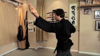 Ninjutsu vs Aikido  Ninjutsu Lessons [upl. by Nylyrehc235]