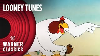 Looney Tunes  Walky Talky Hawky 1946 Full Episode  Warner Classics [upl. by Kehr292]