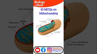 GS Part 7 Quiz Challenge 10 MCQs on Mitochondria neet gs tgtpgt [upl. by Geminius350]