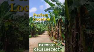 Residential FarmLot for Sale Brgy Dagatan Amadeo CaviteLot area200 sqm [upl. by Sldney465]