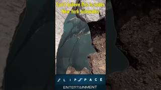 Under New York Sidewalks halomemes shorts gaming halo memes haloinfinite [upl. by Abell617]