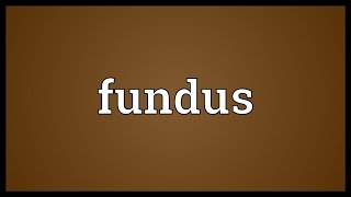 Fundus Meaning [upl. by Lenore66]