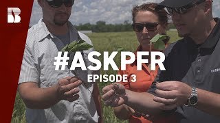 Establishing Stands Cover Crops and Interseeding  AskPFR Episode 3 [upl. by Evangelina]