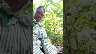 🥰🥰song agriculture 🙏please subscribe🙏🙏 [upl. by Stalk]