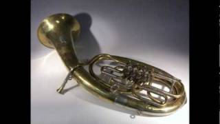 Tiroler Spatzen  Zillertaler Tenorhorn Polka [upl. by Ailehc]