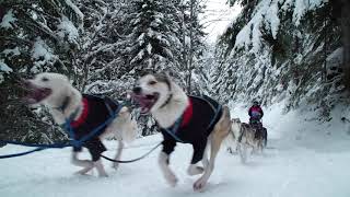 BELLES IMAGES  Etape 5  Pralognan la Vanoise [upl. by Ahseia]