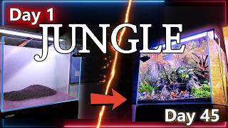 I Created a JungleInspired Aquarium Aquascape  Honoring My Dads Vietnam War Service [upl. by O'Malley270]