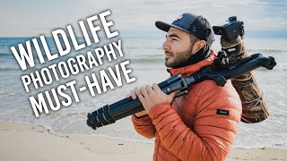 Gimbal Heads A Wildlife Photography MUSTHAVE And How to Use It [upl. by Alios]