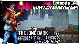 THE LONG DARK — Against All Odds 34 S55  quotSteadfast Rangerquot Gameplay  SURVIVAL JOYGASM [upl. by Ancelin]