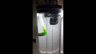 DIY CO2 reactor 1st trial [upl. by Stagg]