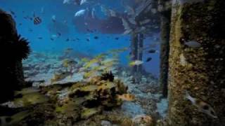 Semusim di Misool Rajaampat [upl. by Feilak]