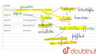Removal of micronucleus in Paramecium impairs [upl. by Prudy994]