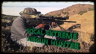 DOUBLE HEADER AIRGUN PESTING [upl. by Haugen456]