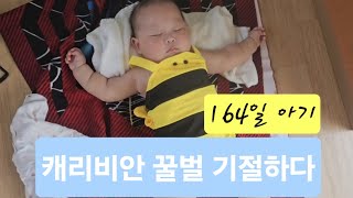 6개월차 아기와 캐리비안베이를 가다  육아브이로그 캐리비안베이 아기 baby 하용 hayong [upl. by Dymoke586]