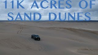 Toyota Tacoma on the Dunes [upl. by Blakely]