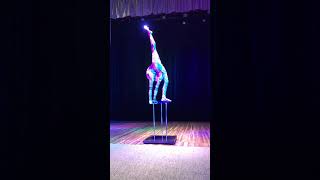 Hand Balancing and Contortion Act [upl. by Nakasuji]