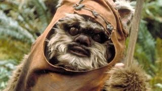 The Ewok Adventures Finally Explained [upl. by Boorman]