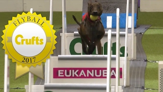 Flyball  Team Semi Finals Part 2  Crufts 2017 [upl. by Carole51]