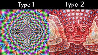 Update on the Future amp Promise of Psychedelics [upl. by Artemla138]