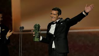 Antonio Banderas Goya 2020 a Mejor Actor Protagonista por Dolor y gloria [upl. by Neale289]