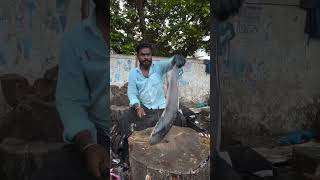 Amazing fish cutting style in tamil [upl. by Eli]