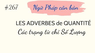 Bài 267  Ngữ pháp tiếng Pháp  LES ADVERBES de QUANTITÉ  Các trạng từ chỉ Số Lượng [upl. by Neirual]