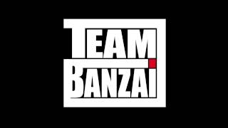 Janelle Monáe feat Big Boi  Tightrope TEAM BANZAI Remix [upl. by Ibed22]