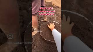 vermicompost organicfarmingfarming gardeninggardeningtips homegarden vermicompostbusiness [upl. by Waldos]