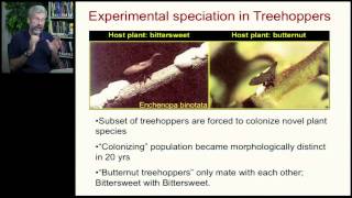 Speciation  Overview and Macroevolution [upl. by Oivat]