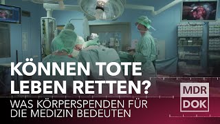 Können Tote Leben retten  Was Körperspenden für die Medizin bedeuten  MDR DOK [upl. by Llerdnek]