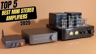 Best Mini Stereo Amplifiers 2025 [upl. by Lorilee104]