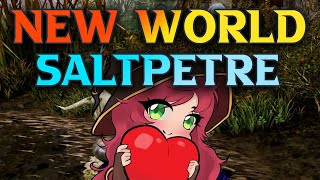 New World Saltpeter Locations  Where To Find Saltpeter In New World [upl. by Eylk]