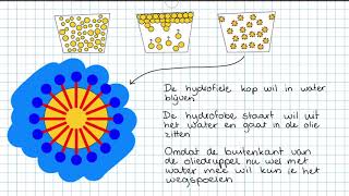 Zeep 3M NOVA H22  NASK Thuis [upl. by Noside480]