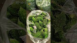 Kakarakaya karela today bowenpally vegetable market farmersmarket streetfood dty vlogs plz sub [upl. by Davidoff]