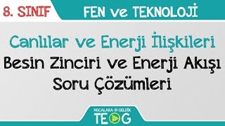 Canlılar ve Enerji İlişkileri  Besin Zinciri ve Enerji Akışı Soru Çözümleri [upl. by Kajdan866]