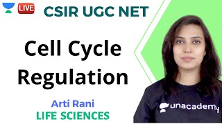 Cell Cycle Regulation  सेल साइकिल विनियमन  Life Science  Unacademy Live CSIR UGC NET Arti Rani [upl. by Adirem361]