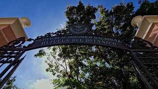 Hijula del Botanico Walking Video Tour  La Orotava  Tenerife Teneriffa [upl. by Orr]