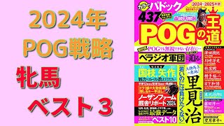 【POG】ドラフト直前情報「牝馬のベスト3」大発表！【POGの王道】 [upl. by Eniladam306]