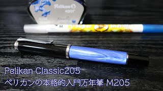 ペリカンの本格的入門万年筆【Pelikan M205 EF】 [upl. by Katie]