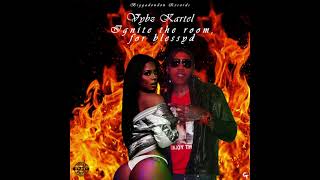 Vybz Kartel  Ignite the Room for BlessyD Official Audio [upl. by Carlo971]